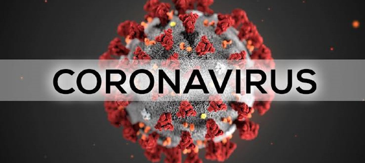Gambar Virus Corona (Sumber Gambar: www.wikipedia.org)
