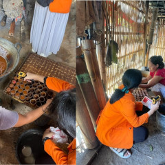 KUNJUNGAN TIM PPK ORMAWA HIMATRIAN UISI KE HOME INDUSTRI GULA AREN DI DESA BALIKTERUS PULAU BAWEAN K KUNJUNGAN TIM PPK ORMAWA HIMATRIAN UISI KE HOME INDUSTRI GULA AREN DI DESA BALIKTERUS PULAU BAWEAN K