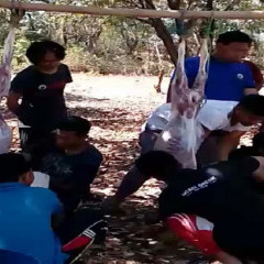 Kegiatan Pemotongan Hewan Qurban UISI dengan Lembaga Amil dan Zakat Al-Azhar Kegiatan Pemotongan Hewan Qurban UISI dengan Lembaga Amil dan Zakat Al-Azhar