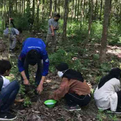 Kolaborasi UISI Menghidupkan Lahan Bekas Tambang PT Semen Indonesia Kolaborasi UISI Menghidupkan Lahan Bekas Tambang PT Semen Indonesia