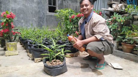 Potret Fachril dengan Jahe Merah Organiknya Potret Fachril dengan Jahe Merah Organiknya