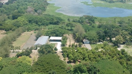 Kampus C UISI kembangkan area baru seluas 35 hektar