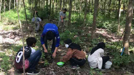 Kolaborasi UISI Menghidupkan Lahan Bekas Tambang PT Semen Indonesia