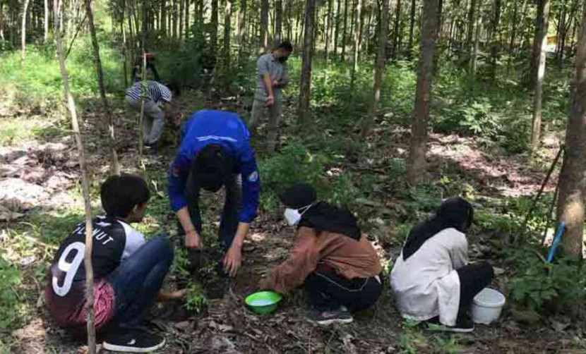 Kolaborasi UISI Menghidupkan Lahan Bekas Tambang PT Semen Indonesia